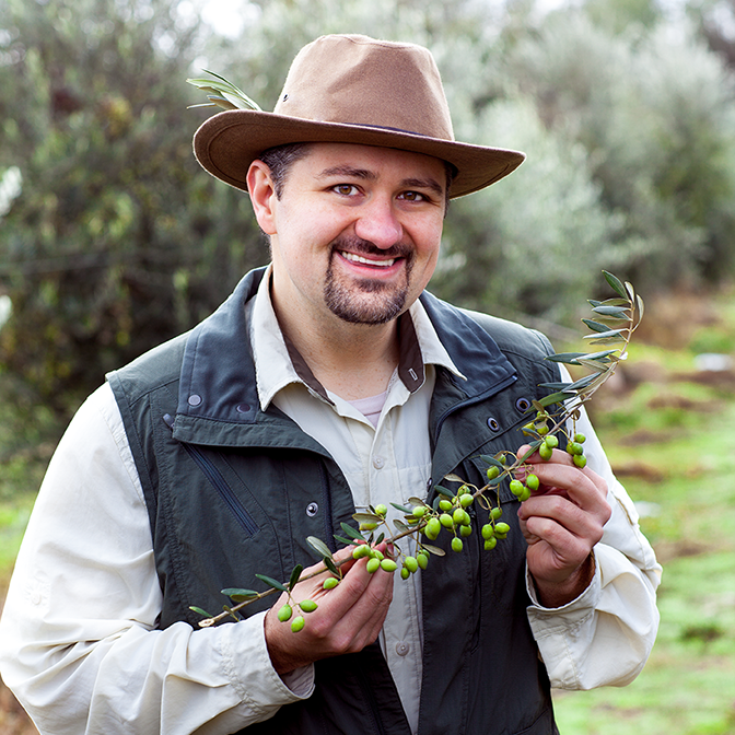 The Olive Oil Hunter News #115 - Fresh-Pressed Olive Oil Foam