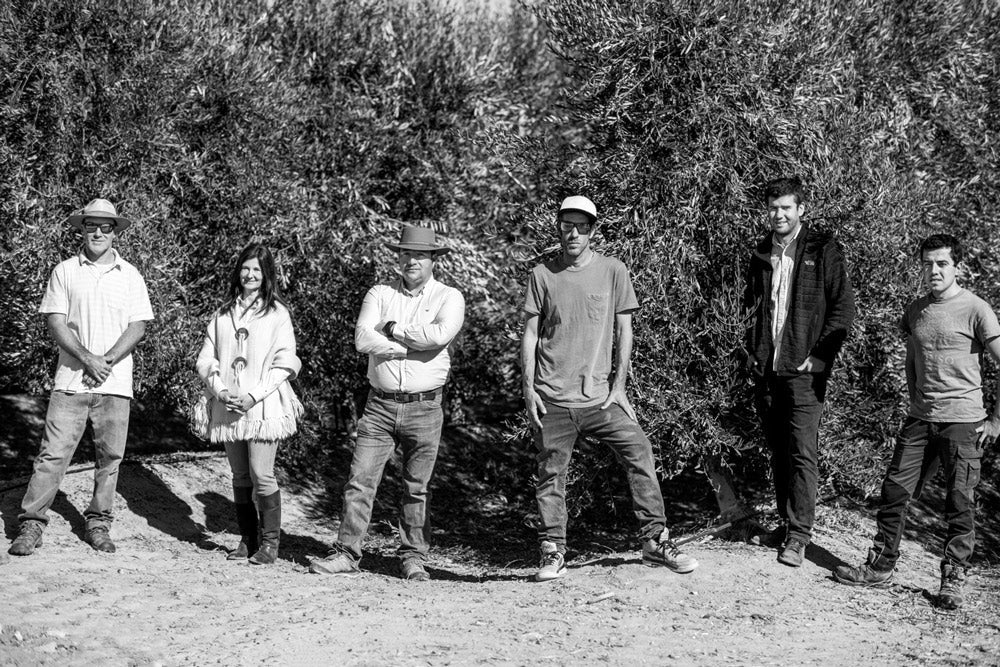 Quarter 2—Chilean Harvest