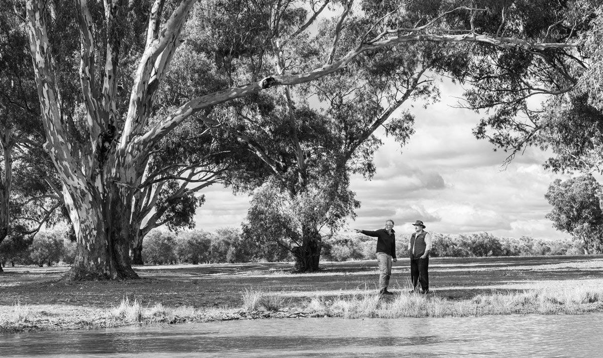 Quarter 3—Australian Harvest