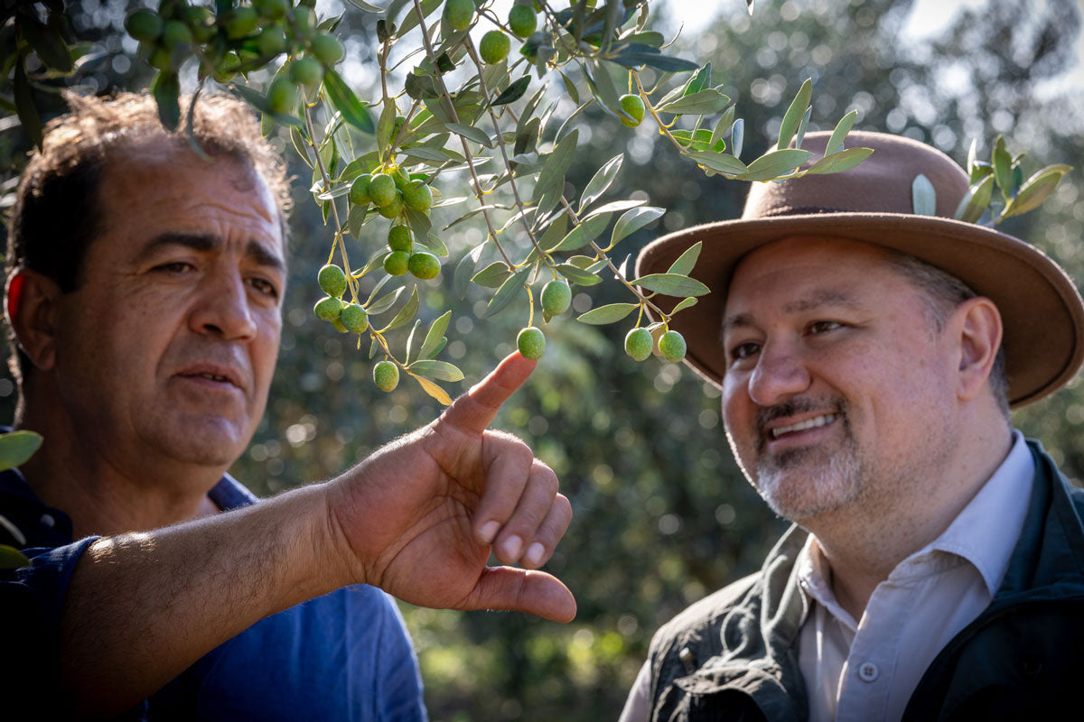 Favolosa olive trees and T. J. Robinson in Italy