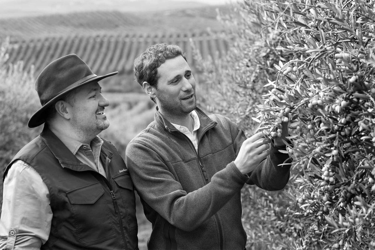 Quarter 2—Chilean Harvest