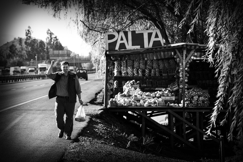Quarter 2—Chilean Harvest