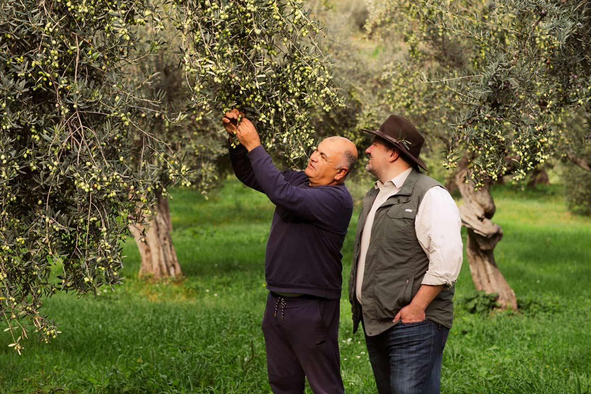The Olive Oil Hunter News #107