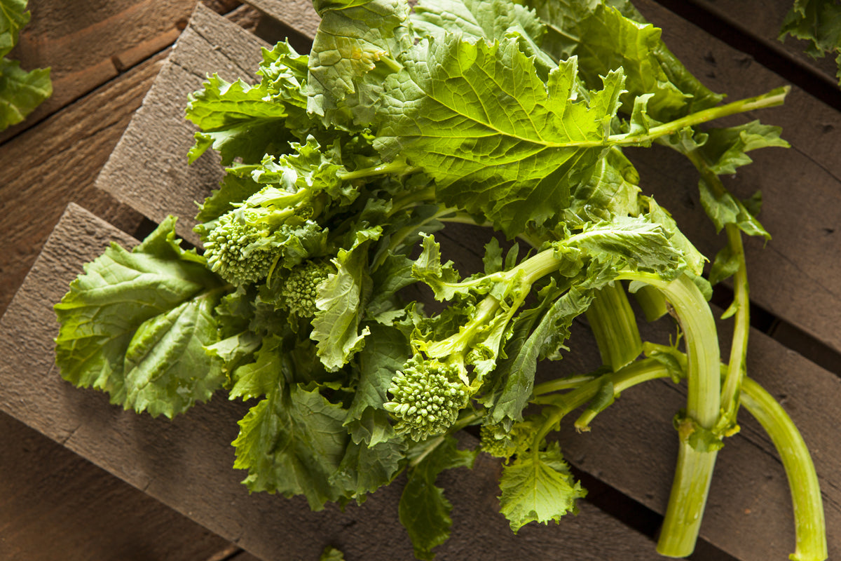 Grilled Broccoli Rabe with Salsa Rossa