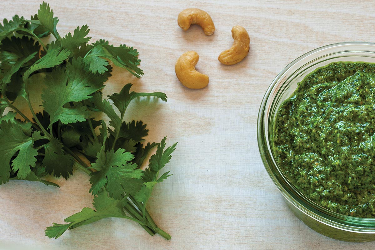 Cashew and Cilantro Pesto