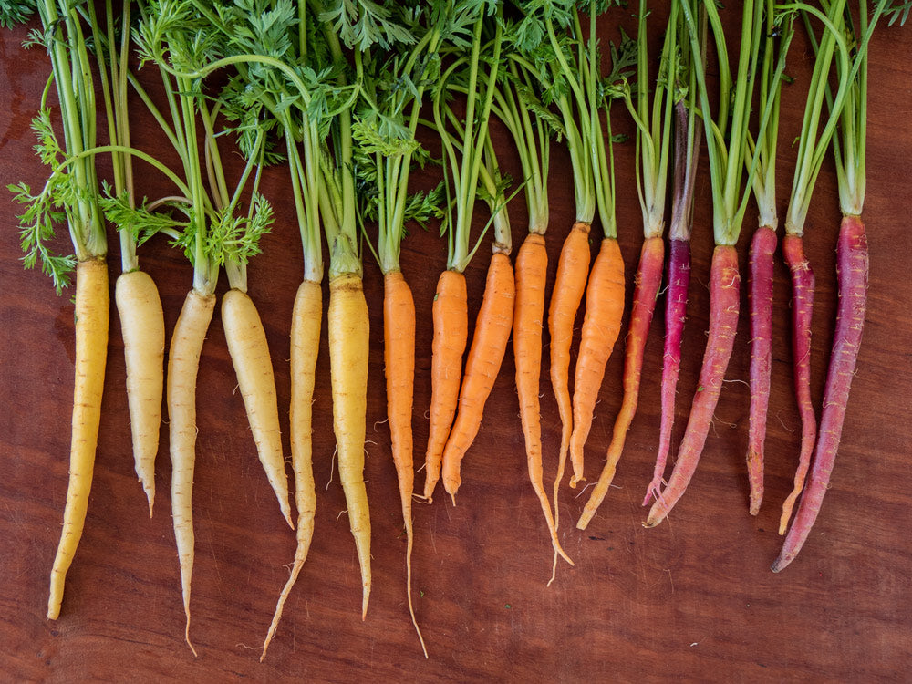Garden Vegetable Platter