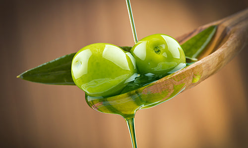 Enroll in the Fresh-Pressed Olive Oil Club